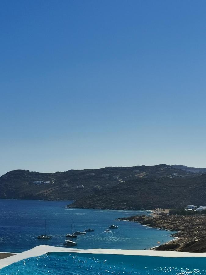 Villa Viktoria In Elia Beach, Mykonos Mykonos Town Exterior foto