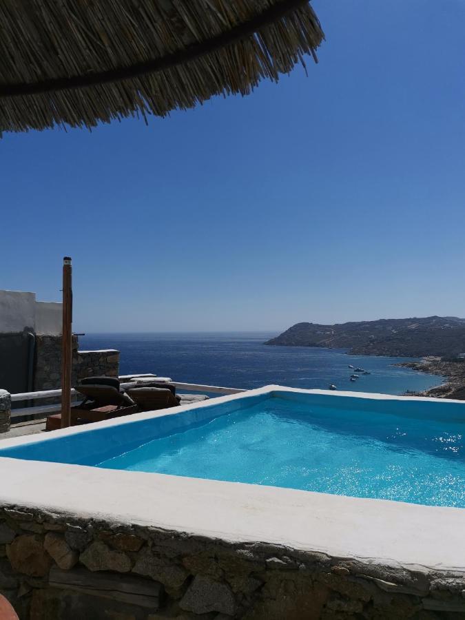 Villa Viktoria In Elia Beach, Mykonos Mykonos Town Exterior foto