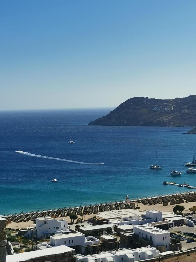 Villa Viktoria In Elia Beach, Mykonos Mykonos Town Exterior foto